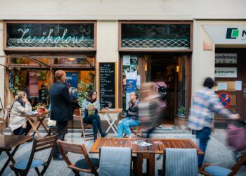 Ročník 2025: závěrečná zpráva